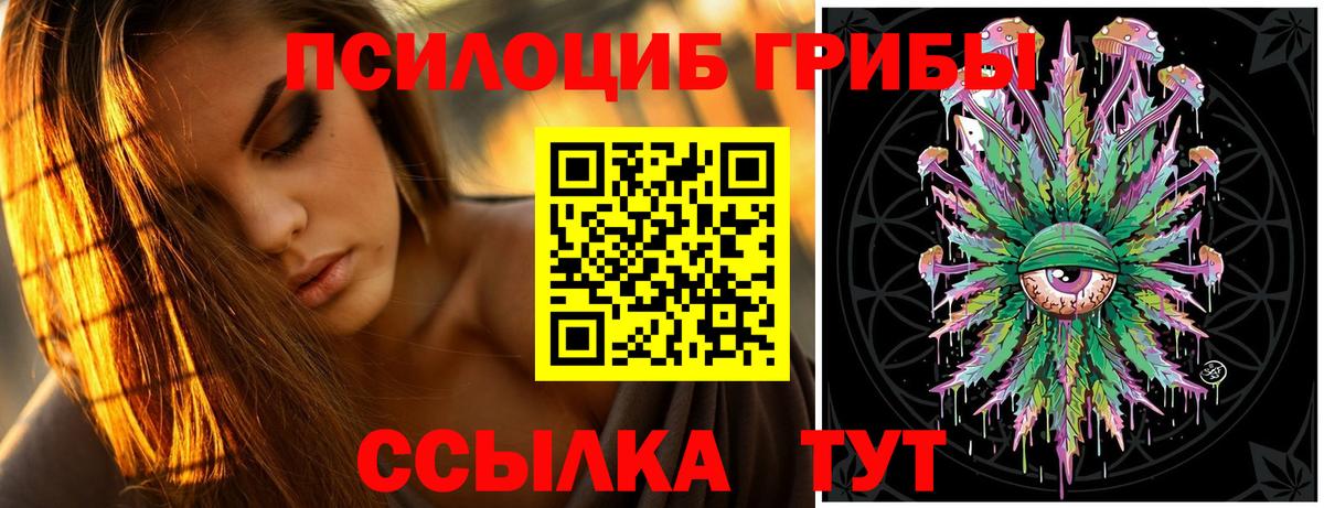 Галлюциногенные грибы Psilocybe Нальчик