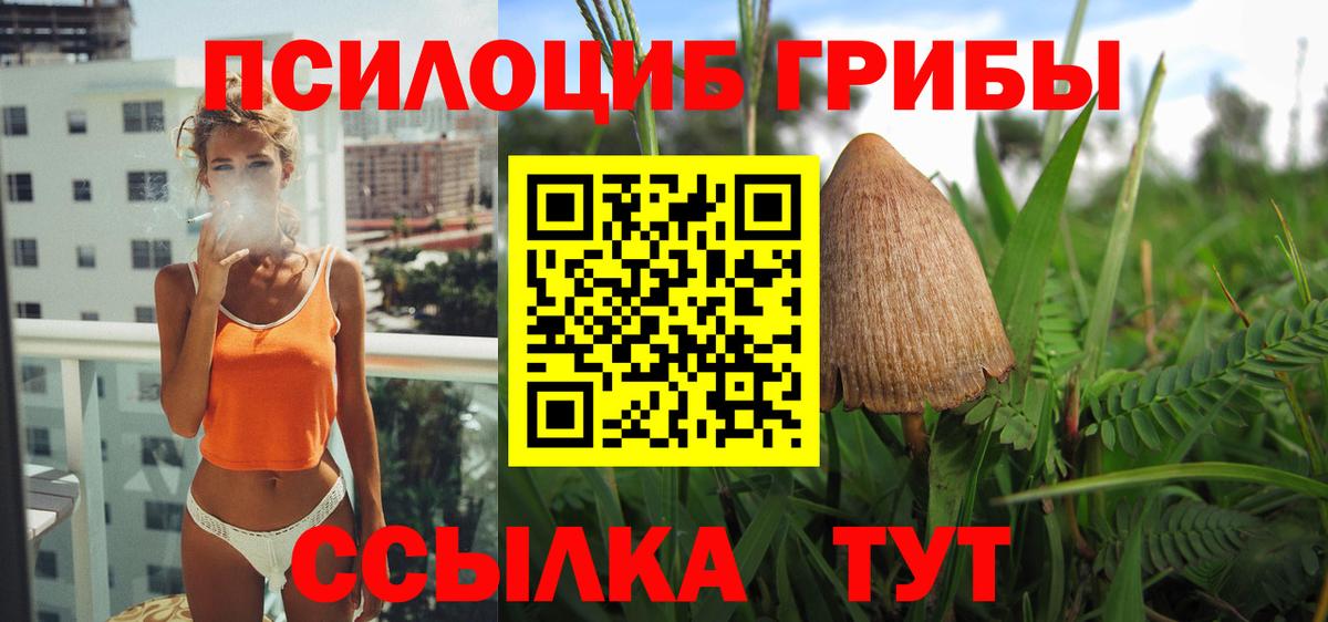 где продают наркотики  Вход с VPN  Нальчик  Псилоцибиновые грибы MAGIC MUSHROOMS 